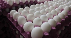 Avrupa´da milyonlarca yumurta raflardan kaldırıldı