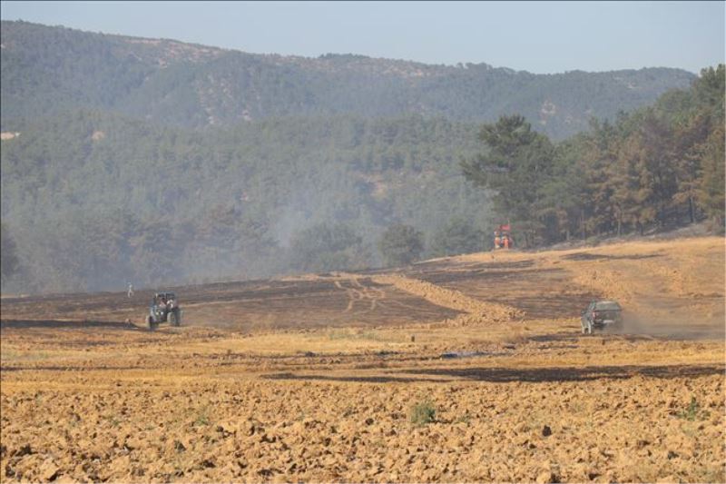 Tarım arazisinde başlayan yangında 15 hektar alan zarar gördü