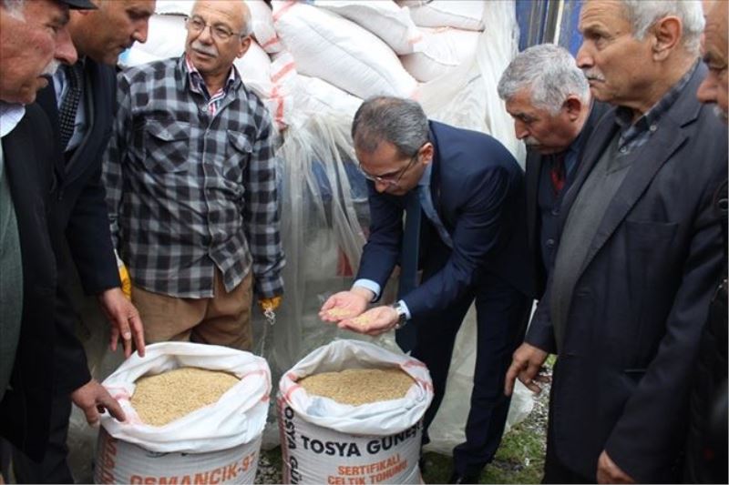 Tosya´da çiftçilere 24 ton çeltik tohumu dağıtıldı