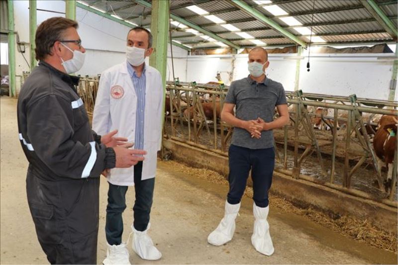  Besi ve süt üreticisi korona virüse rağmen talepleri karşılamakta zorlanıyor
