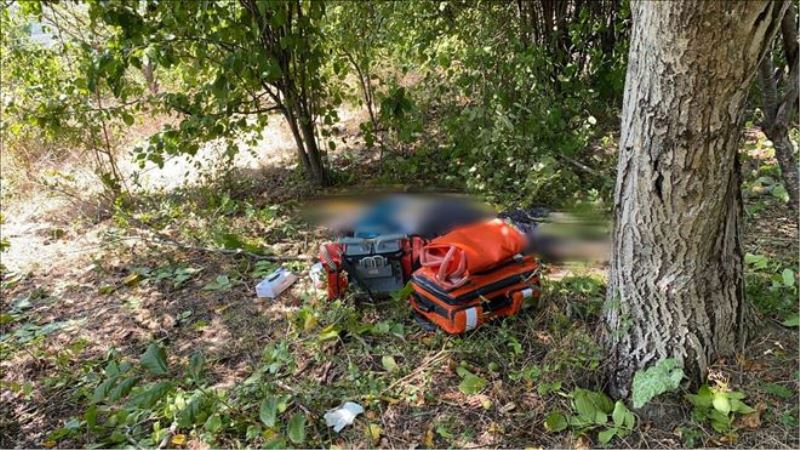 Ceviz ağacından düşen kadın hayatını kaybetti