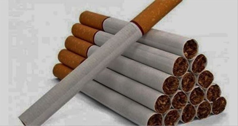 Prof. Dr. Akdur, “Sigara ve alkol bağışıklık sistemine zarar veriyor”