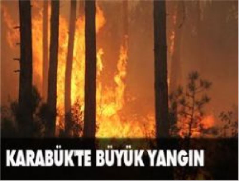 Yangın 900 Hektara Ulaştı